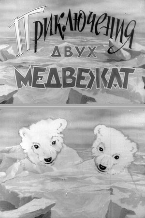 Adventures of Two Bear Cubs's poster image