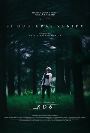 Si hubieras venido's poster image