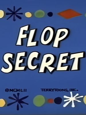 Flop Secret's poster