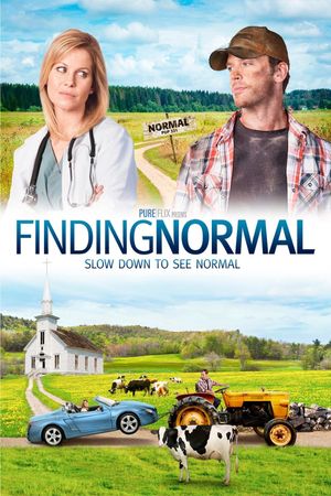 Finding Normal's poster image