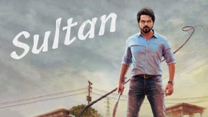 Sulthan's poster