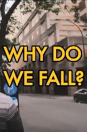 Why Do We Fall?'s poster