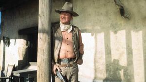Rio Lobo's poster