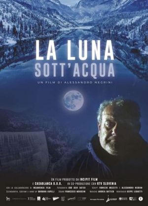 La luna sott'acqua's poster