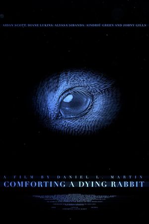 Comforting A Dying Rabbit's poster image