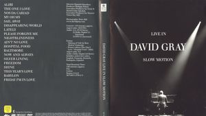 David Gray: LIVE in Slow Motion's poster