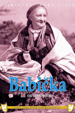 Babichka's poster