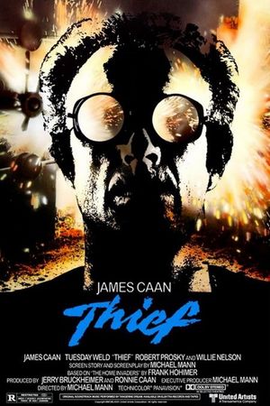 Thief's poster