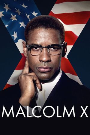 Malcolm X's poster