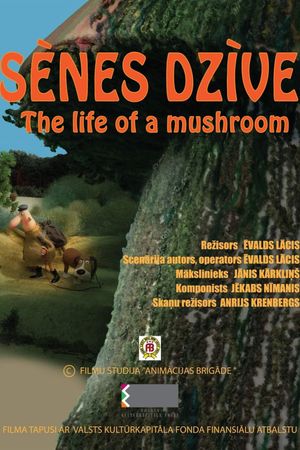 The Life of a Mushroom's poster