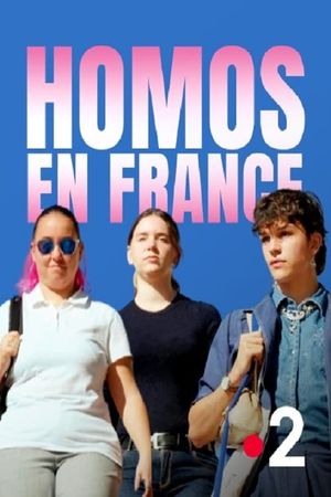 Homos in France's poster