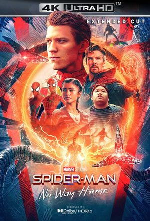 Spider-Man: No Way Home's poster