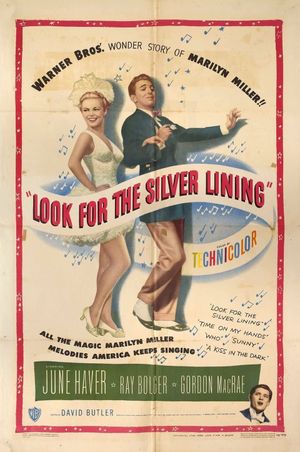 Look for the Silver Lining's poster image