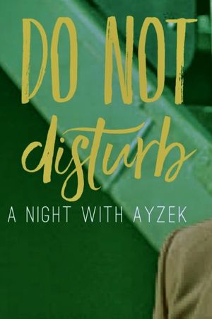 Do Not Disturb's poster