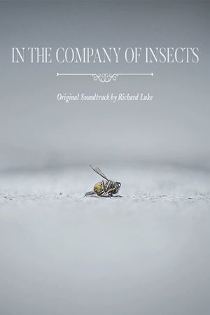 In the Company of Insects's poster image