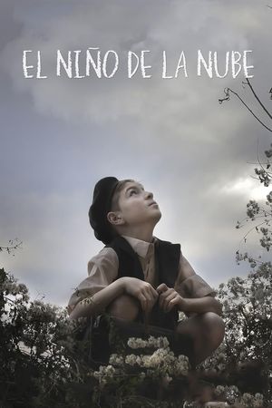 El niño de la nube's poster