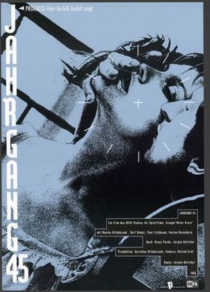Born in '45's poster