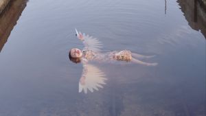 The Seagull's poster