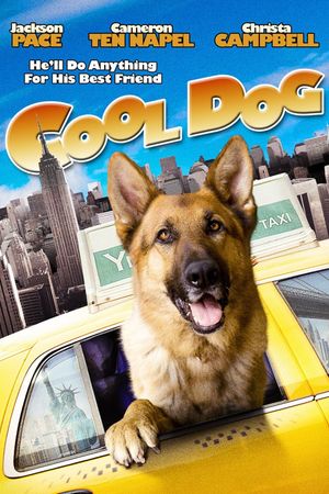 Cool Dog's poster