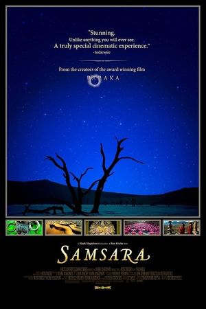 Samsara's poster