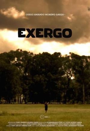 Exergo's poster image