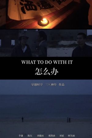What to Do with It's poster