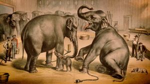 The Tragic Story of Fritz the Elephant's poster