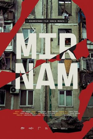 Mir Nam's poster