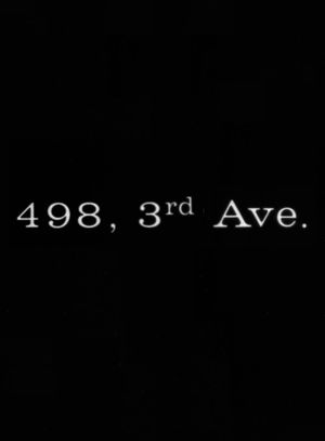 498 Third Avenue's poster