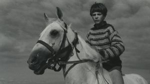 The Boy Who Loved Horses's poster