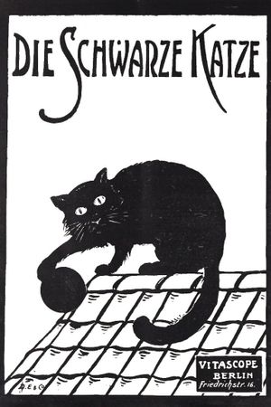 Die schwarze Katze 1. Teil's poster