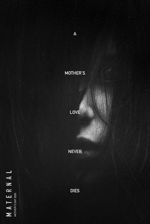 She Came Back's poster