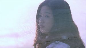 Il Mare's poster
