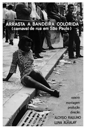 Arrasta a Bandeira Colorida's poster