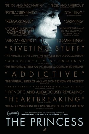 The Princess's poster