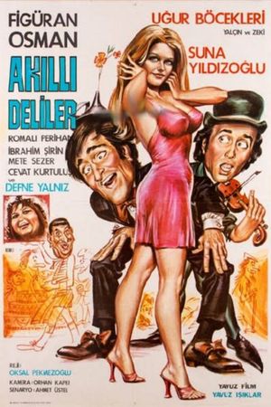Akilli Deliler's poster