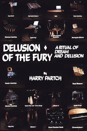 Delusion of the Fury: A Ritual of Dream and Delusion's poster
