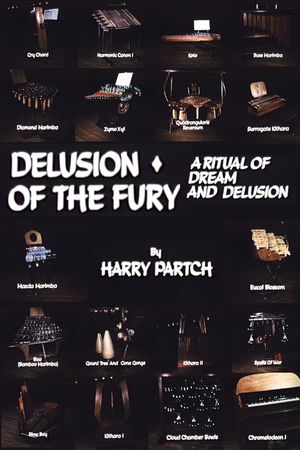 Delusion of the Fury: A Ritual of Dream and Delusion's poster image