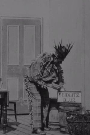 The Indian Chief and the Seidlitz Powder's poster