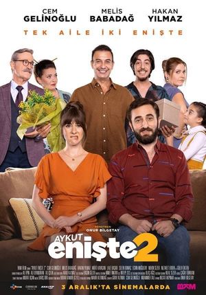 Brother in Love 2's poster