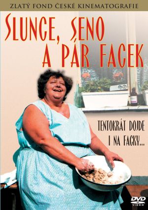Slunce, seno a pár facek's poster
