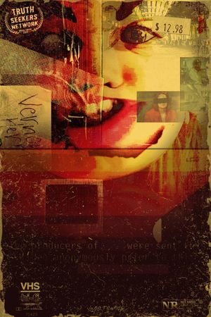 TS-17: The Truth About V.H.S.'s poster