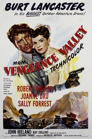 Vengeance Valley's poster