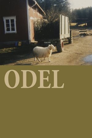 Odel's poster