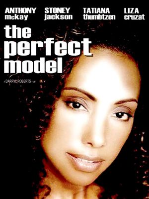 The Perfect Model's poster