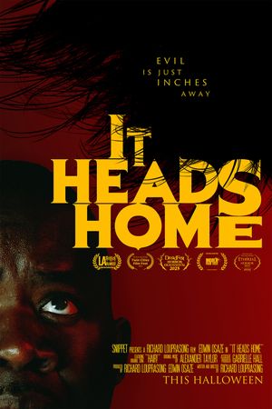 It Heads Home's poster