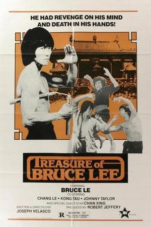 Treasure of Bruce Lee's poster