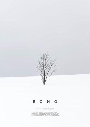 ECHO's poster