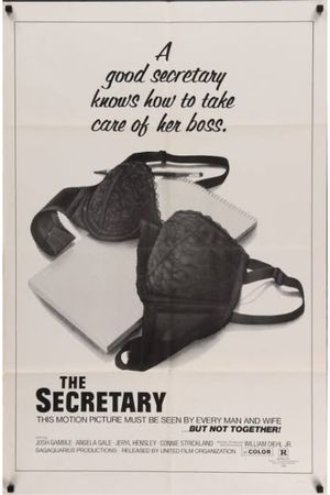 Secretary's poster