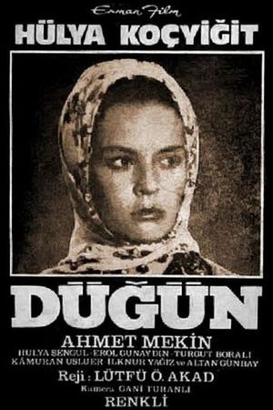 Dügün's poster